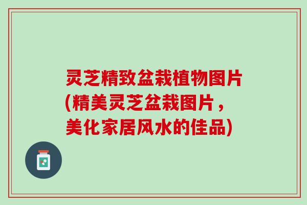 灵芝精致盆栽植物图片(精美灵芝盆栽图片，美化家居风水的佳品)