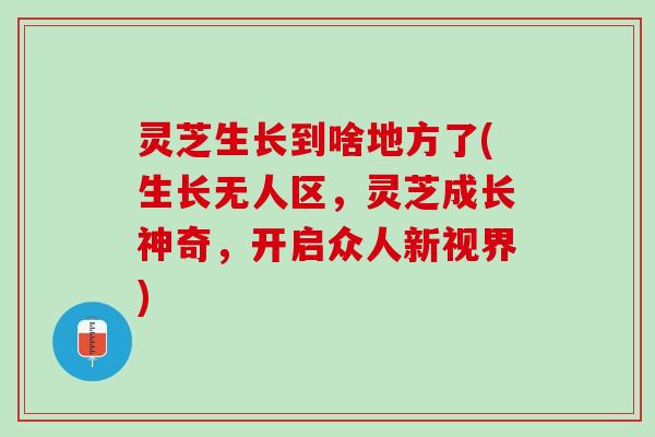 灵芝生长到啥地方了(生长无人区,灵芝成长神奇,开启众人新视界) 灵芝生长到啥地方了(生长无人区,灵芝成长神奇,开启众人新视界)