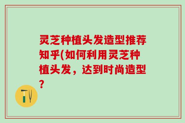 灵芝种植头发造型推荐知乎(如何利用灵芝种植头发，达到时尚造型？