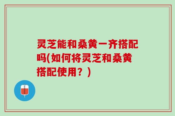灵芝能和桑黄一齐搭配吗(如何将灵芝和桑黄搭配使用？)