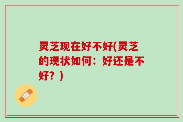灵芝现在好不好(灵芝的现状如何:好还是不好?) 灵芝现在好不好(灵芝的现状如何:好还是不好?)