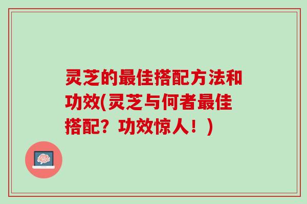 灵芝的最佳搭配方法和功效(灵芝与何者最佳搭配？功效惊人！)