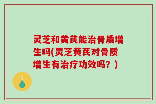 灵芝和黄芪能治骨质增生吗(灵芝黄芪对骨质增生有治疗功效吗？)