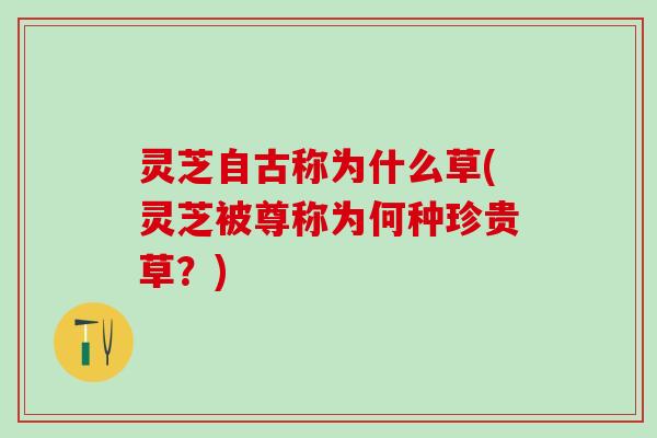 灵芝自古称为什么草(灵芝被尊称为何种珍贵草?) 灵芝自古称为什么草(灵芝被尊称为何种珍贵草?)