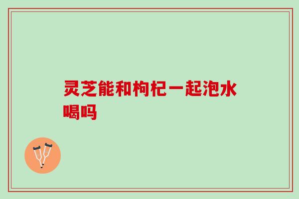 灵芝能和枸杞一起泡水喝吗