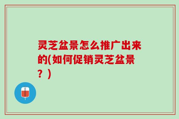 灵芝盆景怎么推广出来的(如何促销灵芝盆景？)