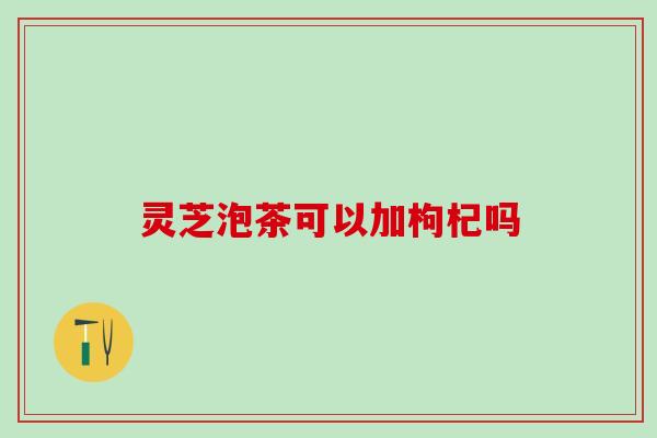 灵芝泡茶可以加枸杞吗