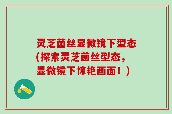 灵芝菌丝显微镜下型态(探索灵芝菌丝型态，显微镜下惊艳画面！)