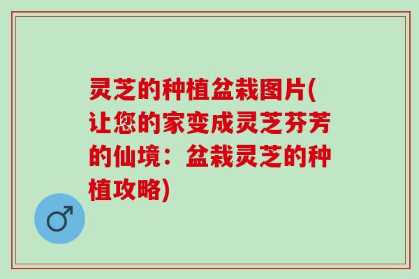 灵芝的种植盆栽图片(让您的家变成灵芝芬芳的仙境：盆栽灵芝的种植攻略)