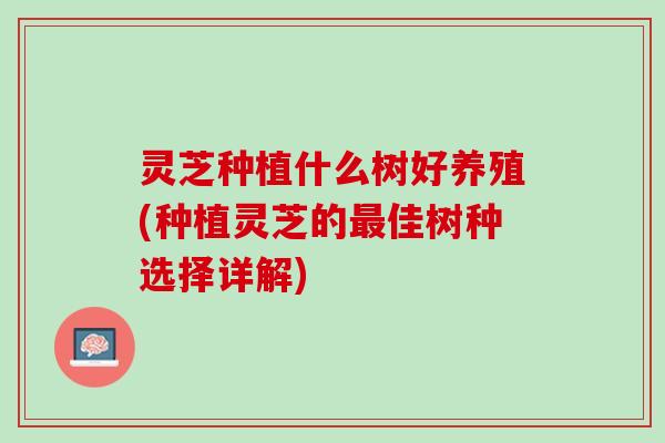 灵芝种植什么树好养殖(种植灵芝的最佳树种选择详解)
