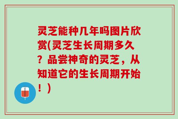 灵芝能种几年吗图片欣赏(灵芝生长周期多久？品尝神奇的灵芝，从知道它的生长周期开始！)