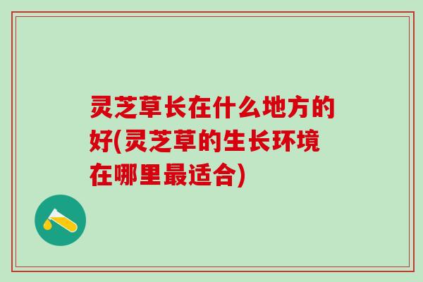 灵芝草长在什么地方的好(灵芝草的生长环境在哪里最适合)
