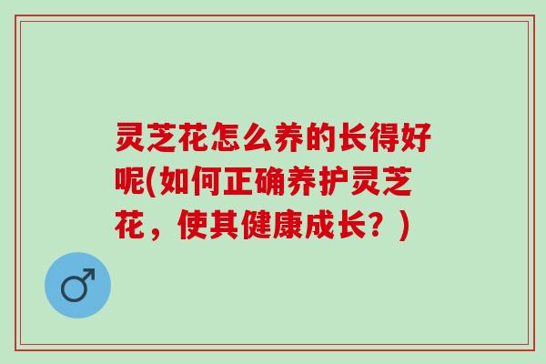 灵芝花怎么养的长得好呢(如何正确养护灵芝花，使其健康成长？)