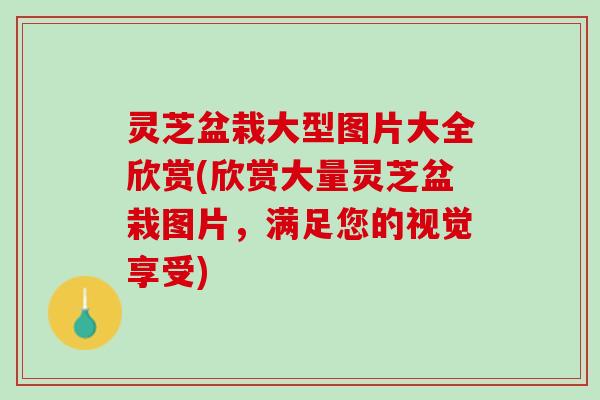 灵芝盆栽大型图片大全欣赏(欣赏大量灵芝盆栽图片，满足您的视觉享受)