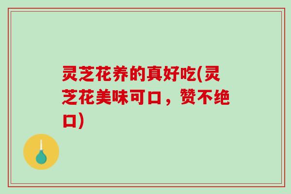 灵芝花养的真好吃(灵芝花美味可口，赞不绝口)