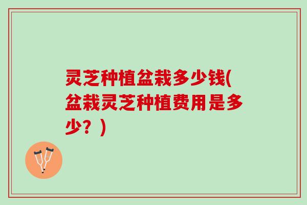 灵芝种植盆栽多少钱(盆栽灵芝种植费用是多少？)