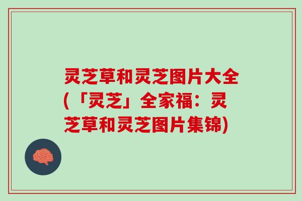 灵芝草和灵芝图片大全(「灵芝」全家福：灵芝草和灵芝图片集锦)