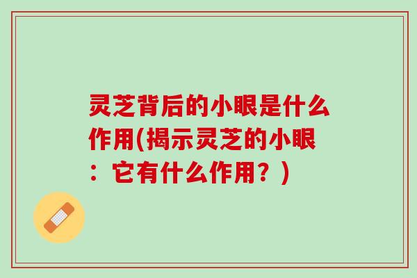 灵芝背后的小眼是什么作用(揭示灵芝的小眼：它有什么作用？)