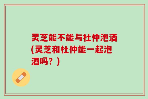 灵芝能不能与杜仲泡酒(灵芝和杜仲能一起泡酒吗？)