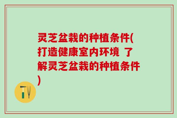灵芝盆栽的种植条件(打造健康室内环境 了解灵芝盆栽的种植条件)