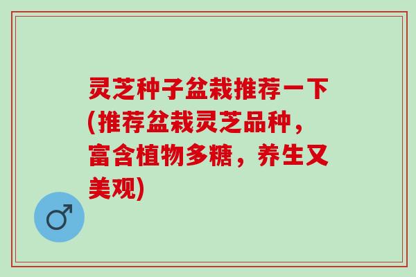 灵芝种子盆栽推荐一下(推荐盆栽灵芝品种，富含植物多糖，养生又美观)