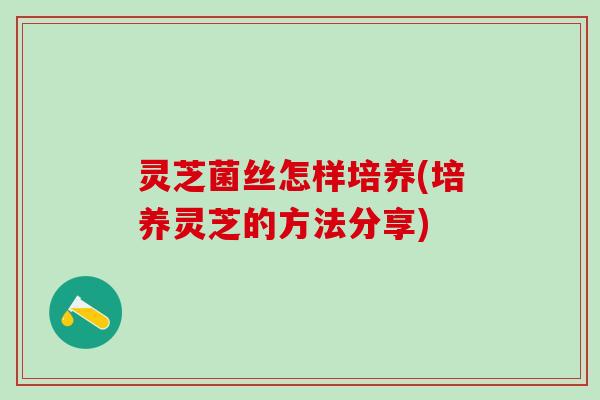 灵芝菌丝怎样培养(培养灵芝的方法分享)