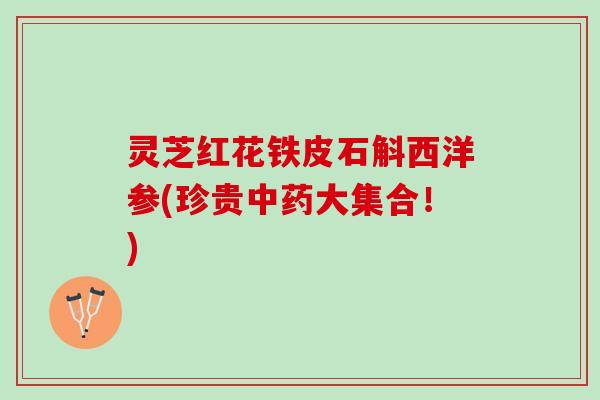 灵芝红花铁皮石斛西洋参(珍贵中药大集合！)