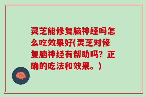 灵芝能修复脑神经吗怎么吃效果好(灵芝对修复脑神经有帮助吗？正确的吃法和效果。)