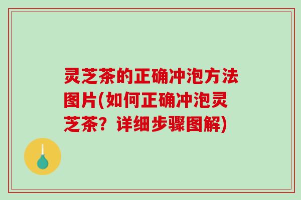 灵芝茶的正确冲泡方法图片(如何正确冲泡灵芝茶？详细步骤图解)