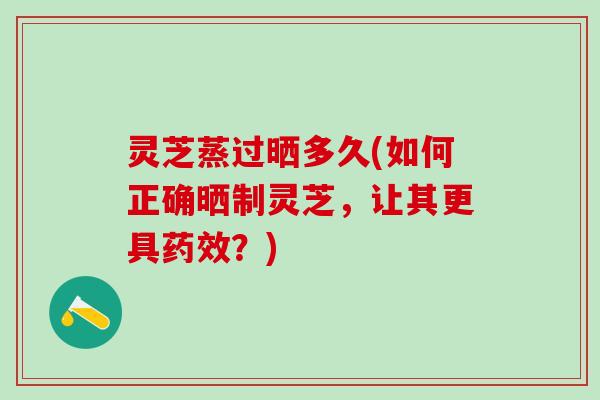 灵芝蒸过晒多久(如何正确晒制灵芝,让其更具?) 灵芝蒸过晒多久(如何正确晒制灵芝,让其更具?)