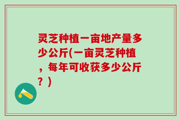 灵芝种植一亩地产量多少公斤(一亩灵芝种植,每年可收获多少公斤?) 灵芝种植一亩地产量多少公斤(一亩灵芝种植,每年可收获多少公斤?)