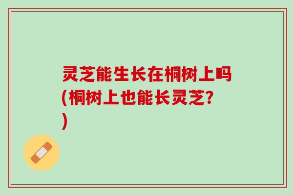 灵芝能生长在桐树上吗(桐树上也能长灵芝？)