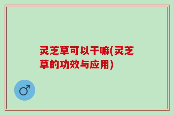 灵芝草可以干嘛(灵芝草的功效与应用)