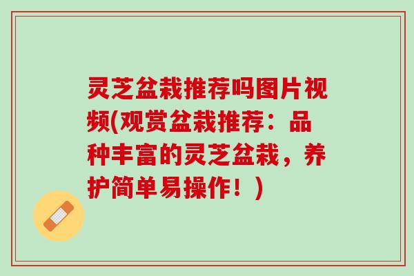 灵芝盆栽推荐吗图片视频(观赏盆栽推荐：品种丰富的灵芝盆栽，养护简单易操作！)