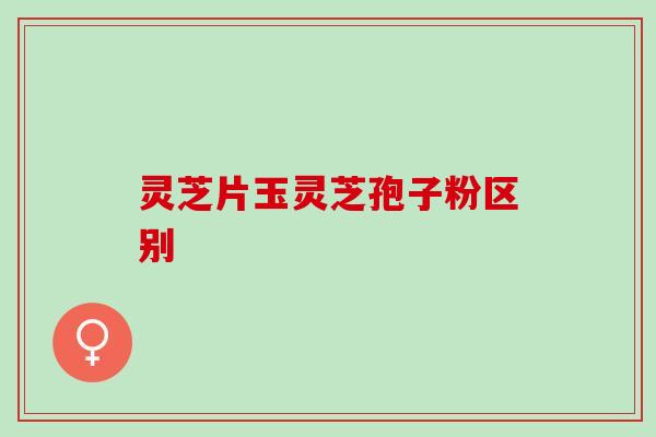 灵芝片玉灵芝孢子粉区别