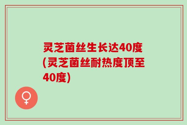 灵芝菌丝生长达40度(灵芝菌丝耐热度顶至40度)