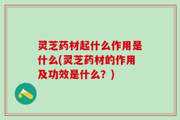 灵芝药材起什么作用是什么(灵芝药材的作用及功效是什么？)