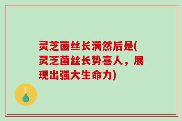灵芝菌丝长满然后是(灵芝菌丝长势喜人，展现出强大生命力)