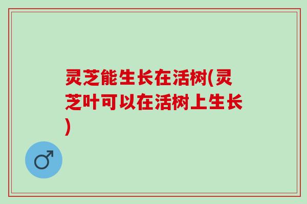 灵芝能生长在活树(灵芝叶可以在活树上生长)