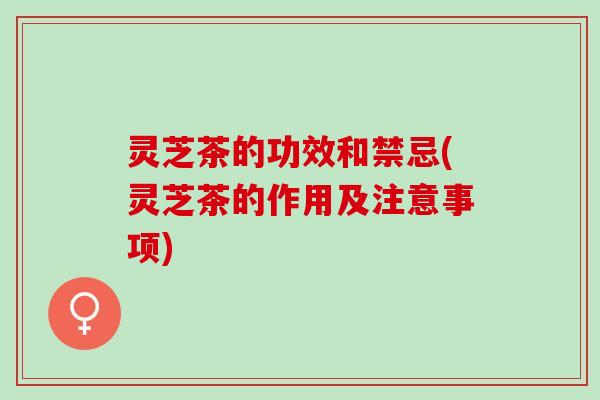 灵芝茶的功效和禁忌(灵芝茶的作用及注意事项)