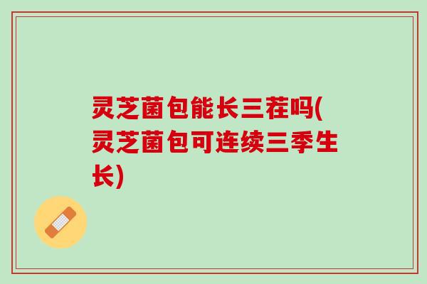 灵芝菌包能长三茬吗(灵芝菌包可连续三季生长)