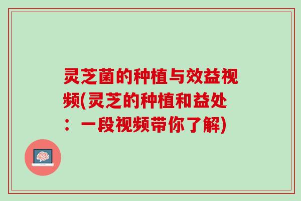 灵芝菌的种植与效益视频(灵芝的种植和益处：一段视频带你了解)