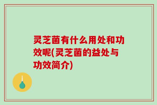 灵芝菌有什么用处和功效呢(灵芝菌的益处与功效简介) 灵芝菌有什么用处和功效呢(灵芝菌的益处与功效简介)