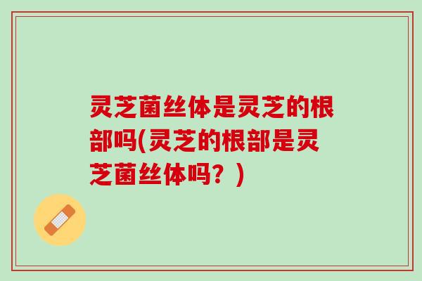 灵芝菌丝体是灵芝的根部吗(灵芝的根部是灵芝菌丝体吗？)