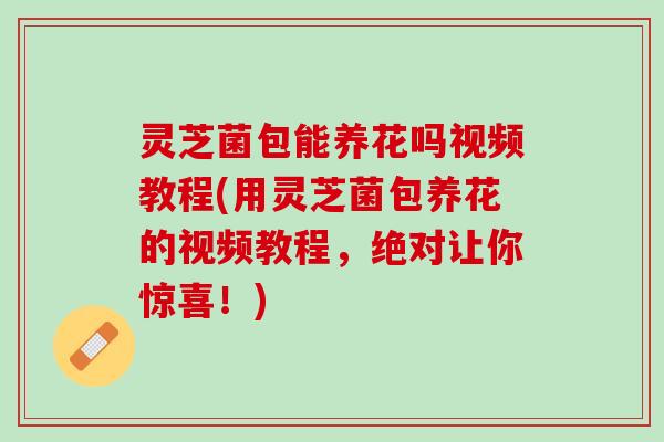 灵芝菌包能养花吗视频教程(用灵芝菌包养花的视频教程,绝对让你惊喜!) 灵芝菌包能养花吗视频教程(用灵芝菌包养花的视频教程,绝对让你惊喜!)