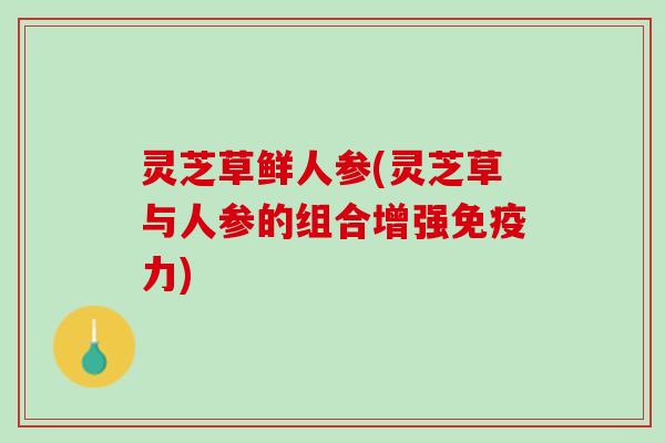 灵芝草鲜人参(灵芝草与人参的组合增强免疫力)