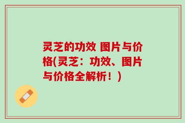 灵芝的功效 图片与价格(灵芝：功效、图片与价格全解析！)