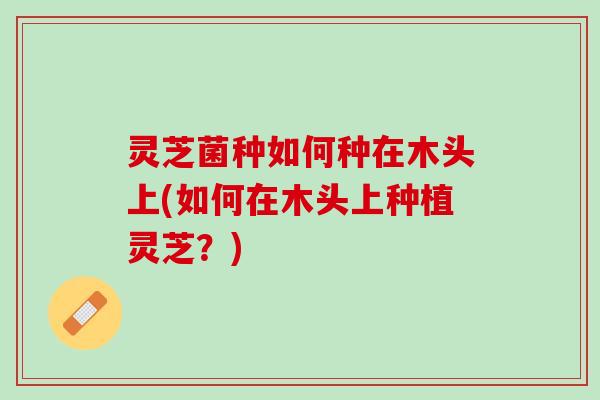 灵芝菌种如何种在木头上(如何在木头上种植灵芝？)