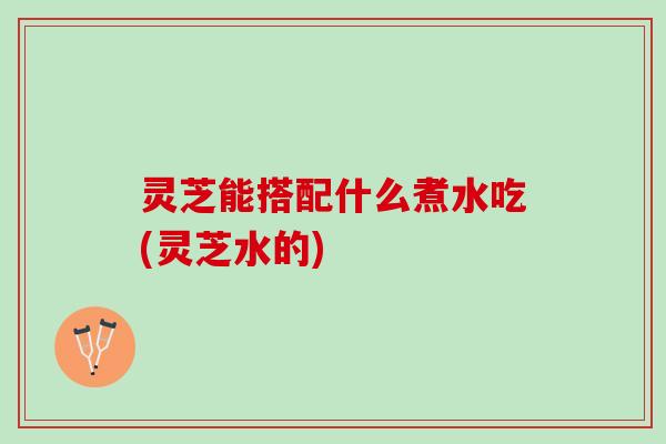 灵芝能搭配什么煮水吃(灵芝水的)