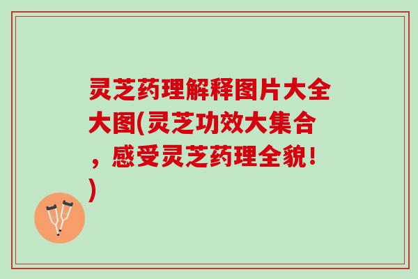 灵芝药理解释图片大全大图(灵芝功效大集合，感受灵芝药理全貌！)